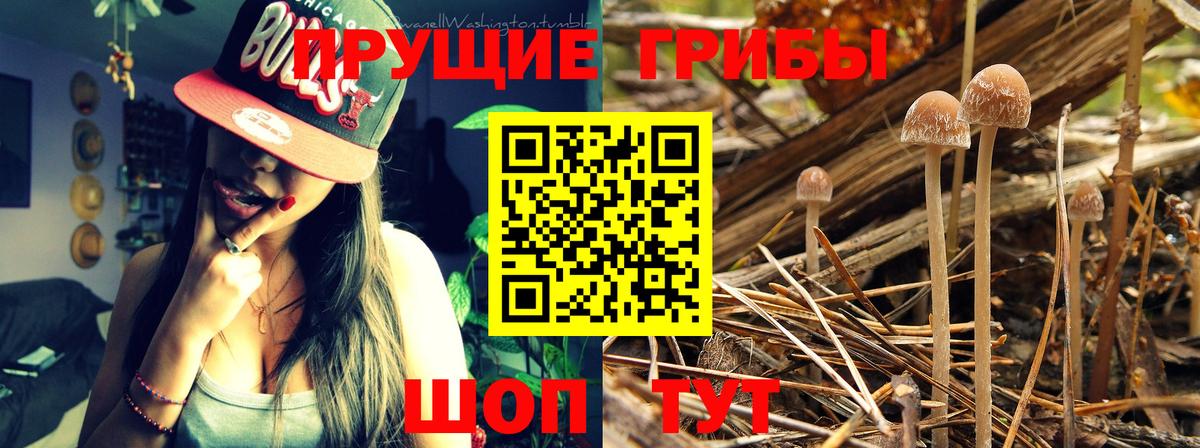 Галлюциногенные грибы мухоморы Партизанск