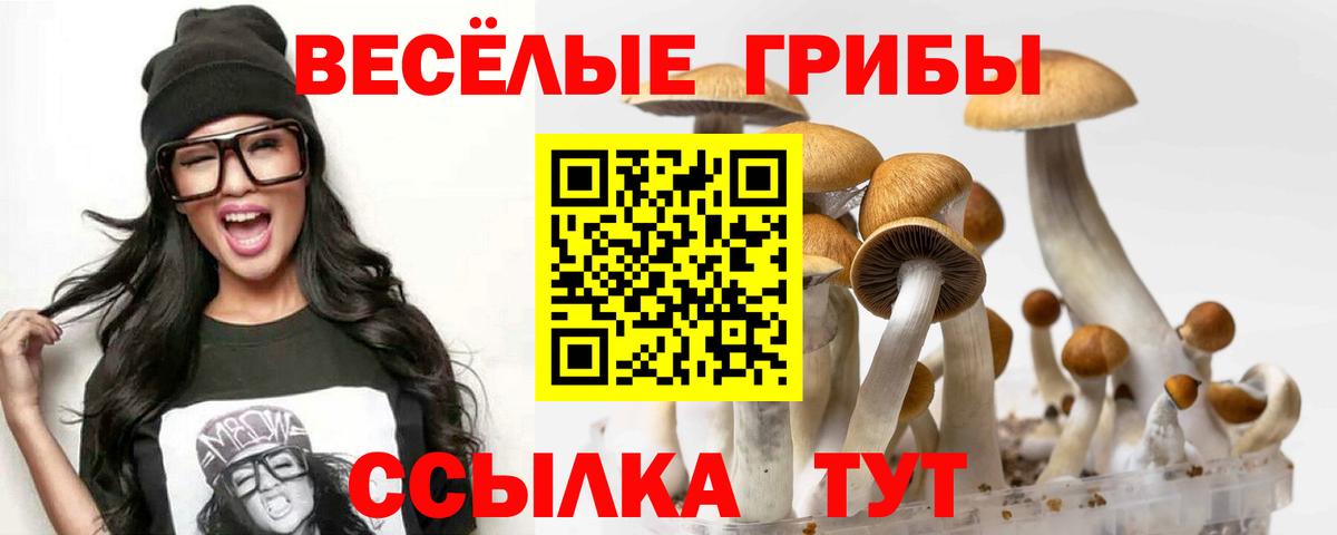 Галлюциногенные грибы GOLDEN TEACHER  Псилоцибиновые грибы ЛСД  Партизанск  Вход с VPN 